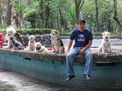 Angel y Vicente - | Hotel en Casa | CDMX | Petzer