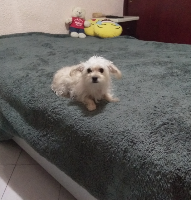 Claudia B - | Hotel en Casa | CDMX | Petzer