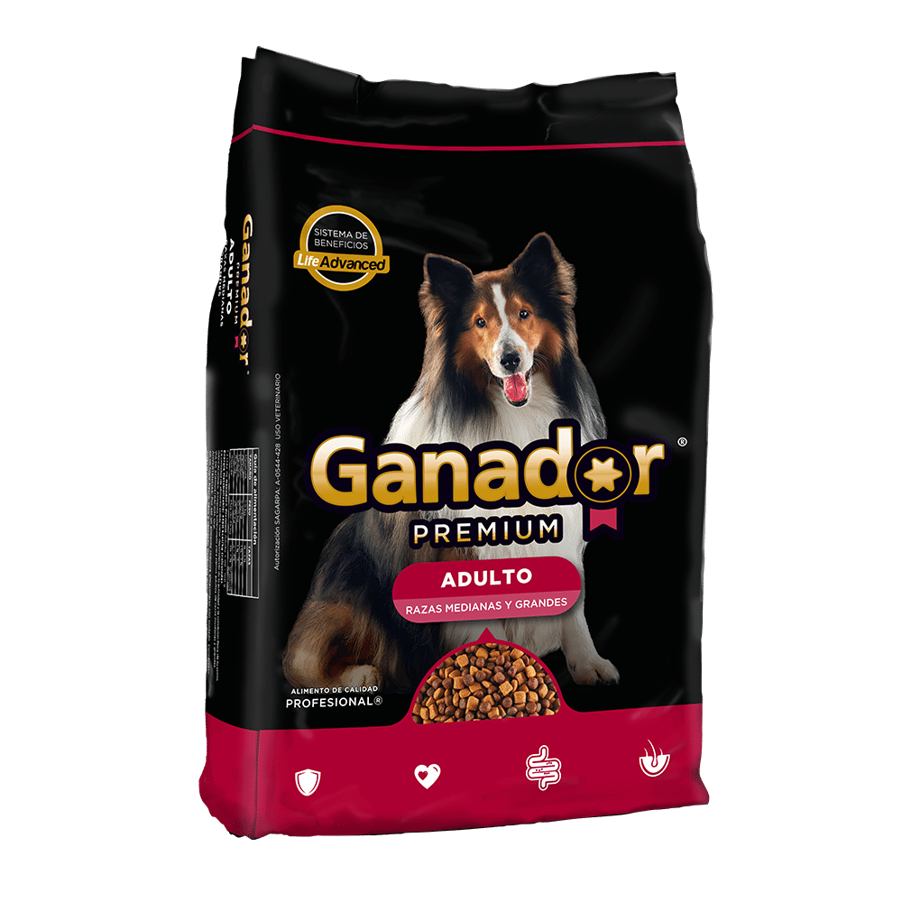 Croqueta Perro Adulto Ganador Premium 4 kg