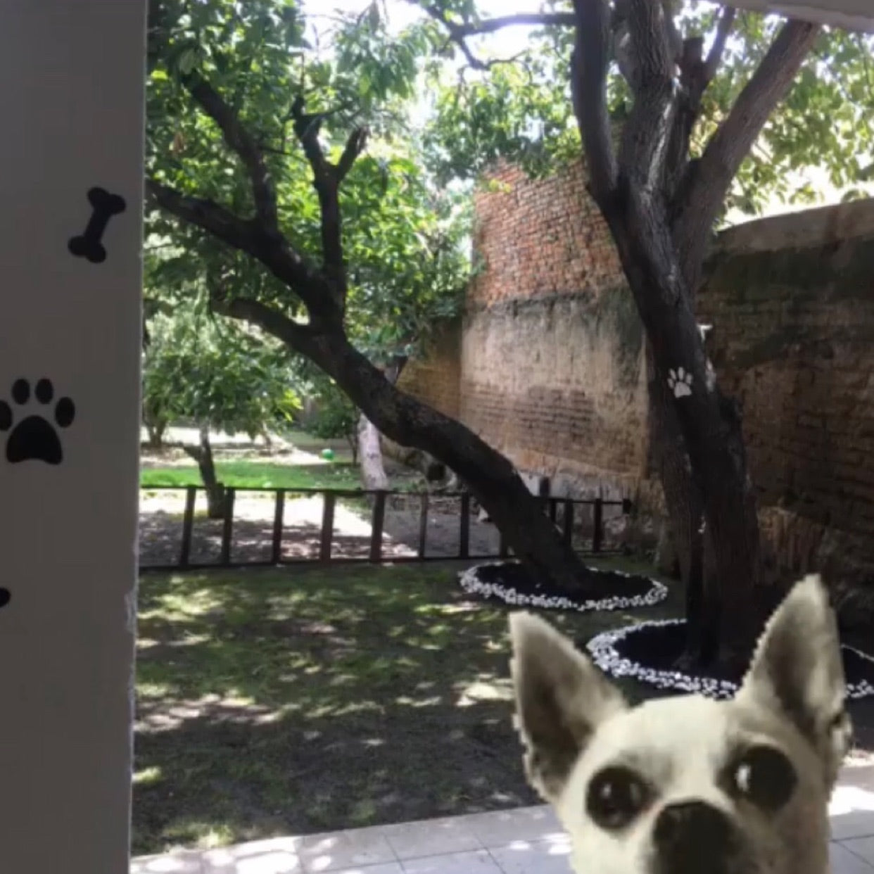 Griselda G | Hotel en Casa | Jalisco | Petzer