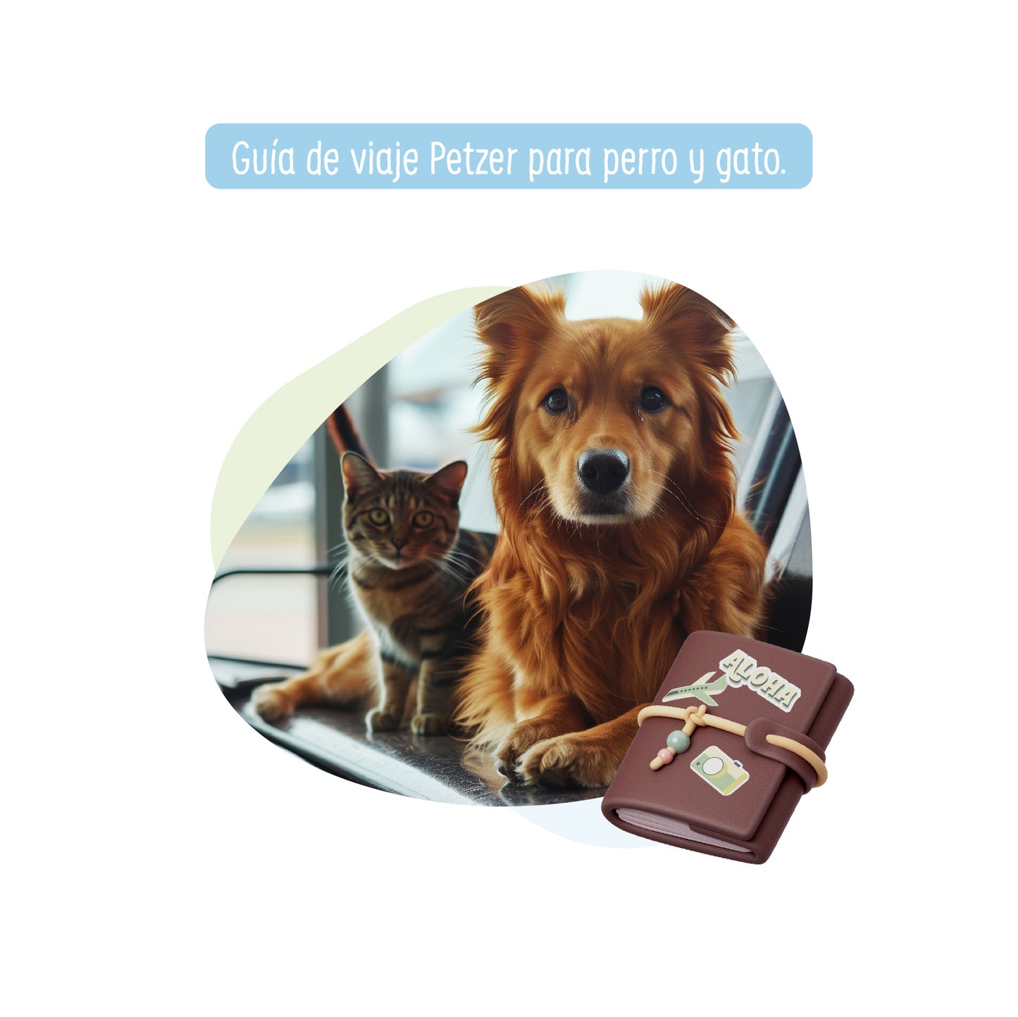 Guía de Viaje Personalizada Petzer para Perro y Gato