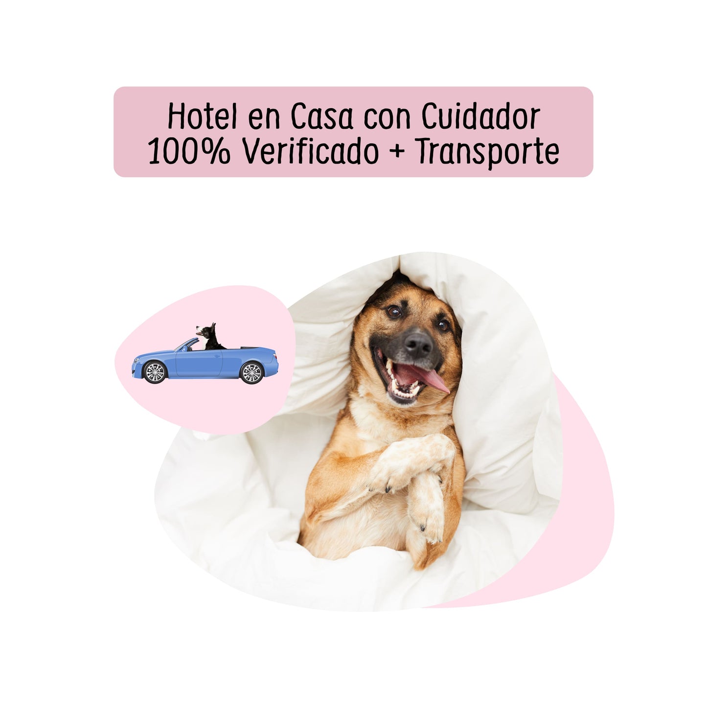 Hotel en Casa con Cuidador 100% verificado | Petzer