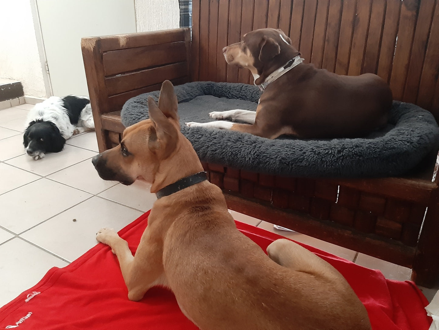 Gabriela J- | Hotel en Casa | Querétaro | Petzer