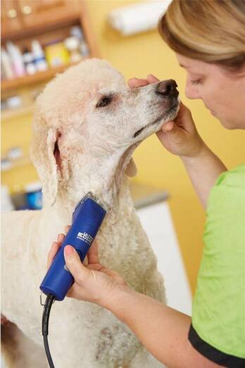 Maquina Rasuradora Andis Ultra Edge 2 Vel Profesional para Perro y Gato