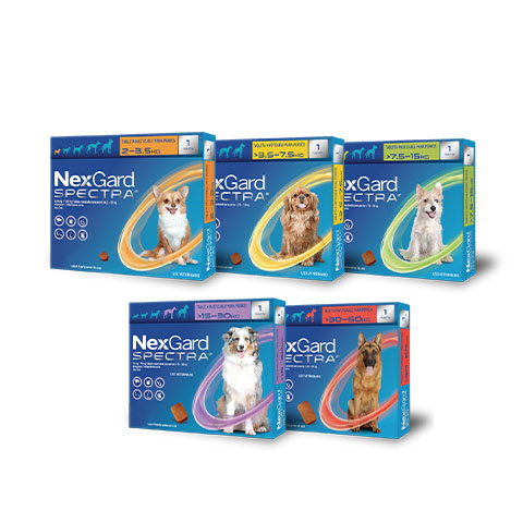 Nexgard Spectra Desparasitante Masticable Para Perro | Farmacia a domicilio CDMX | Petzer