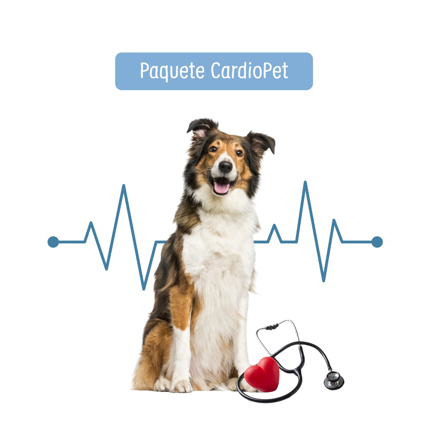 Paquete CardioPet a Domicilio| Servicios de salud para mascotas | Petzer