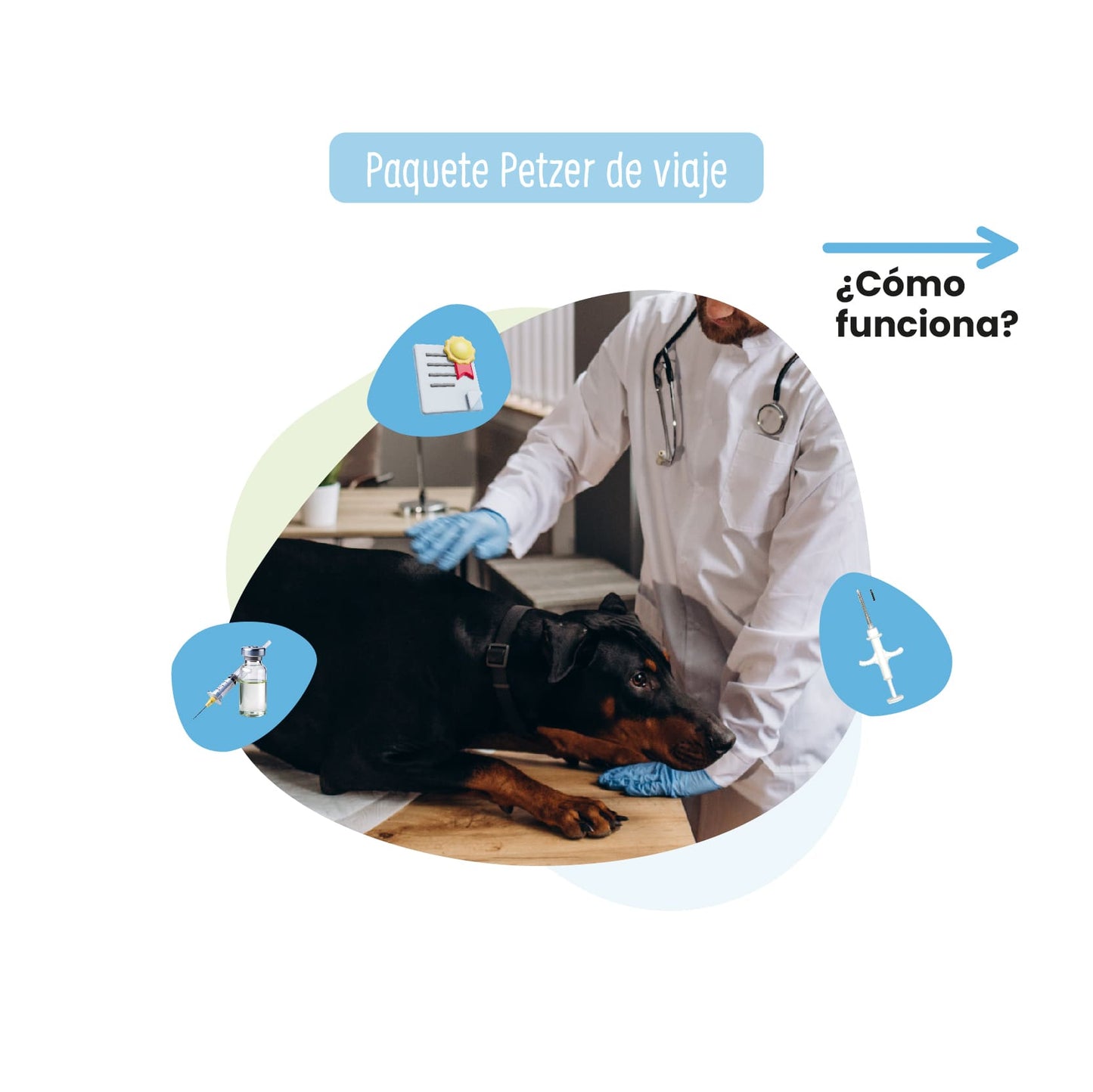 Paquetes de Viaje Petzer para Perro y Gato a Domicilio