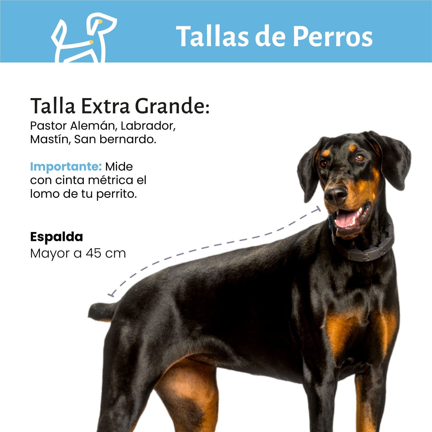 Profilaxis Dental a Domicilio para Perro Talla Extra Grande