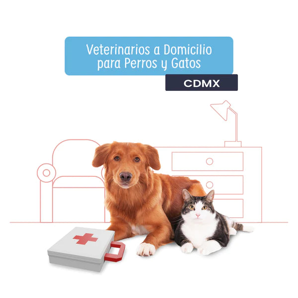 Veterinario a Domicilio