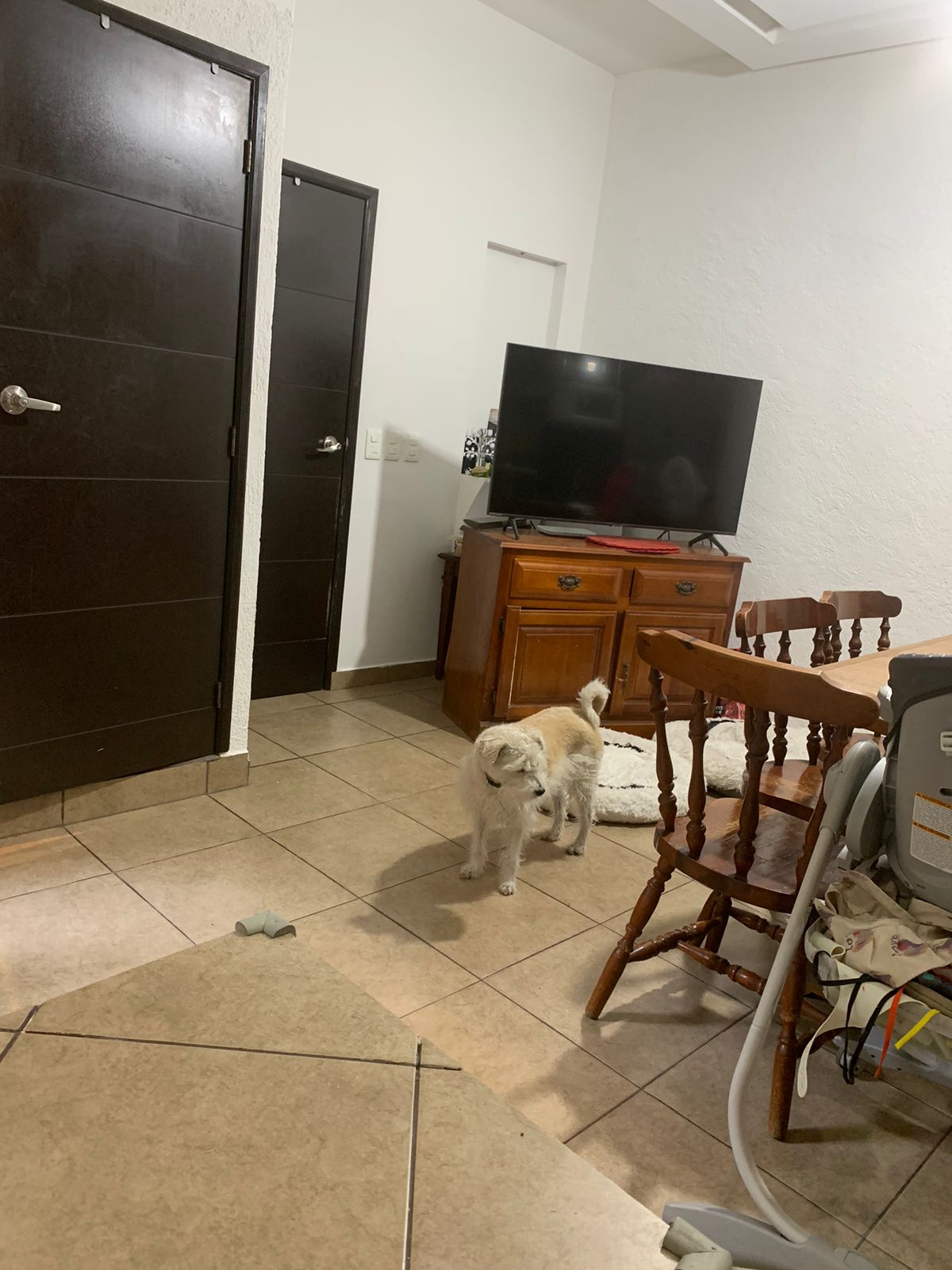 Tania J - | Hotel en Casa | CDMX | Petzer