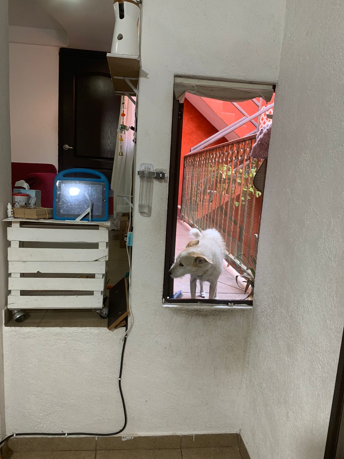 Tania J - | Hotel en Casa | CDMX | Petzer