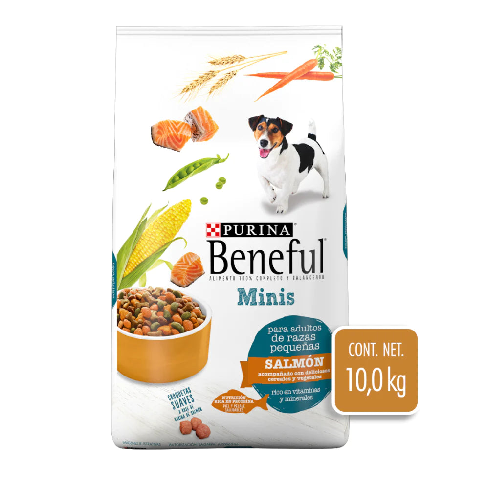 Croquetas Perro Adulto Beneful Razas Pequeñas Minis Salmón 10kg