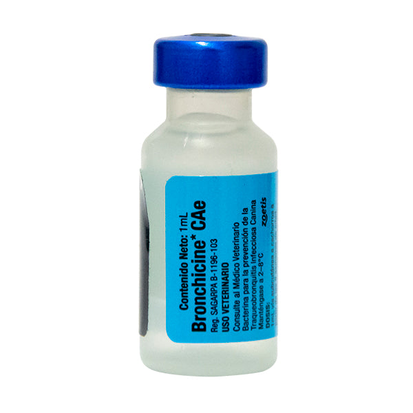 Vacuna Bronchicine | Bordetella