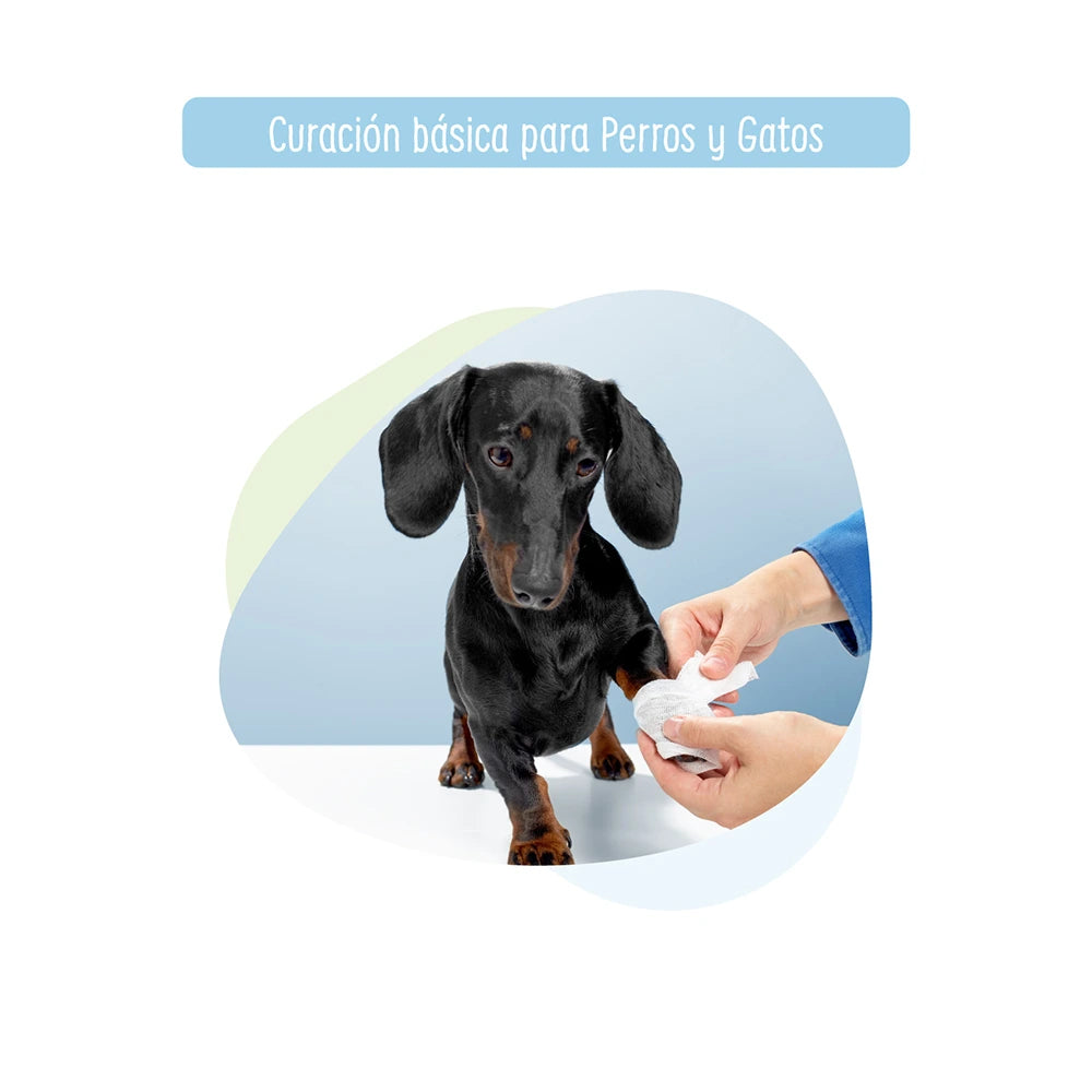 Curación Básica a Domicilio para Perro y Gato