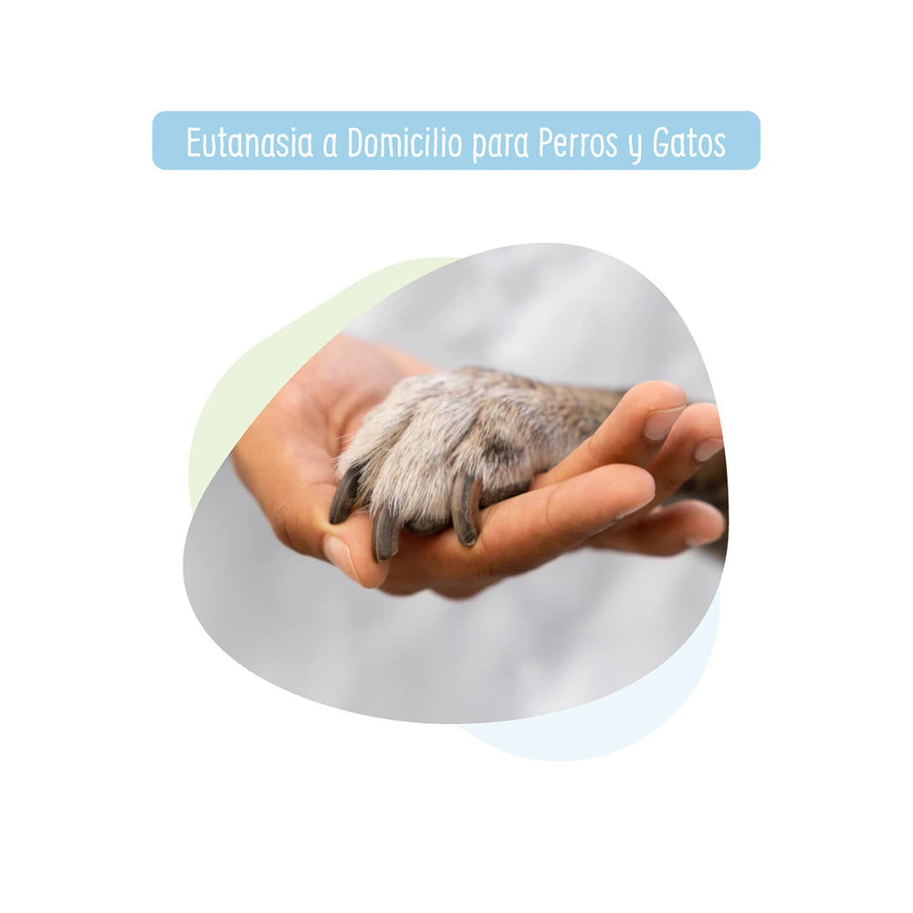Eutanasia a Domicilio para Perros y Gatos