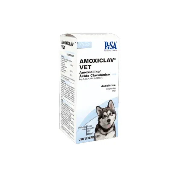 Suspensión Amoxiclav Vet