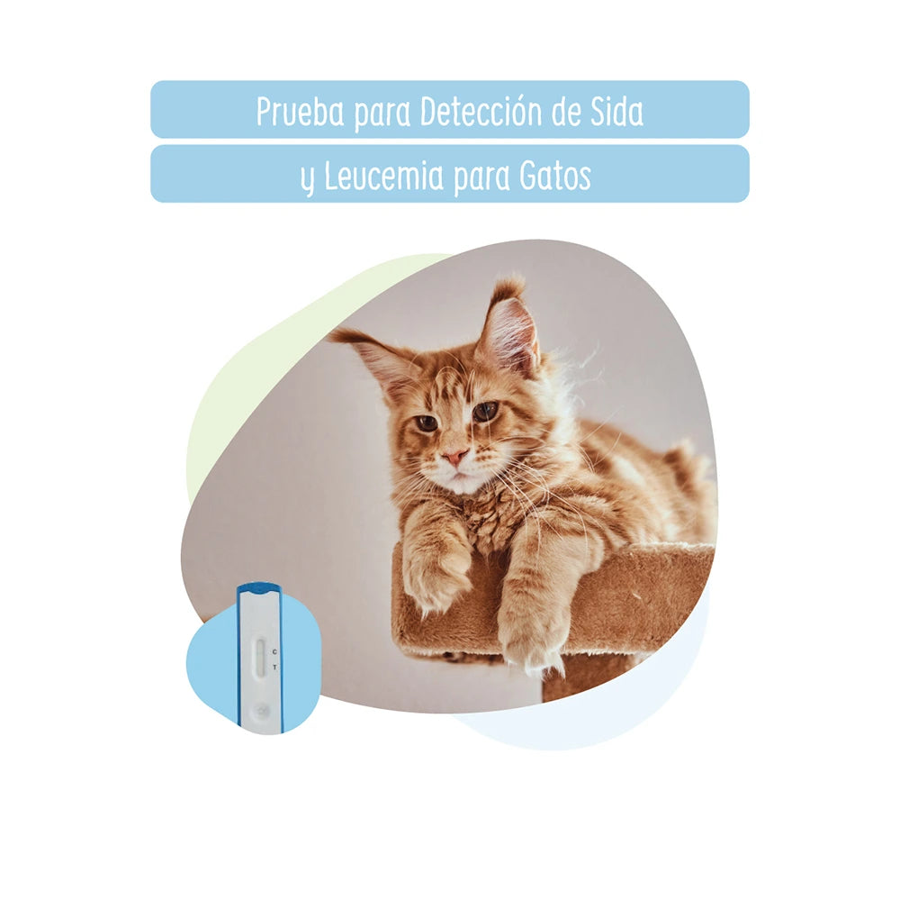 Prueba para detección de Sida y Leucemia para Gatos a Domicilio