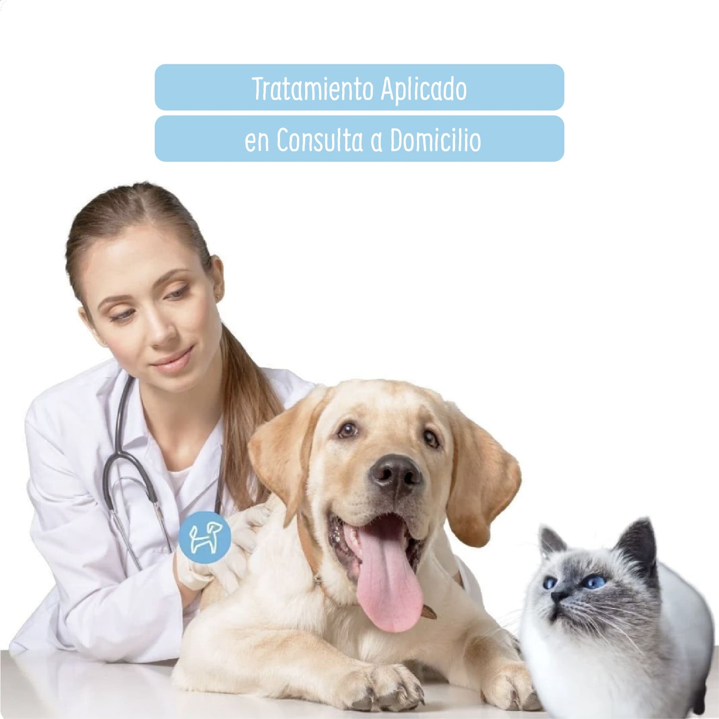 Tratamiento Aplicado en Consulta a Domicilio