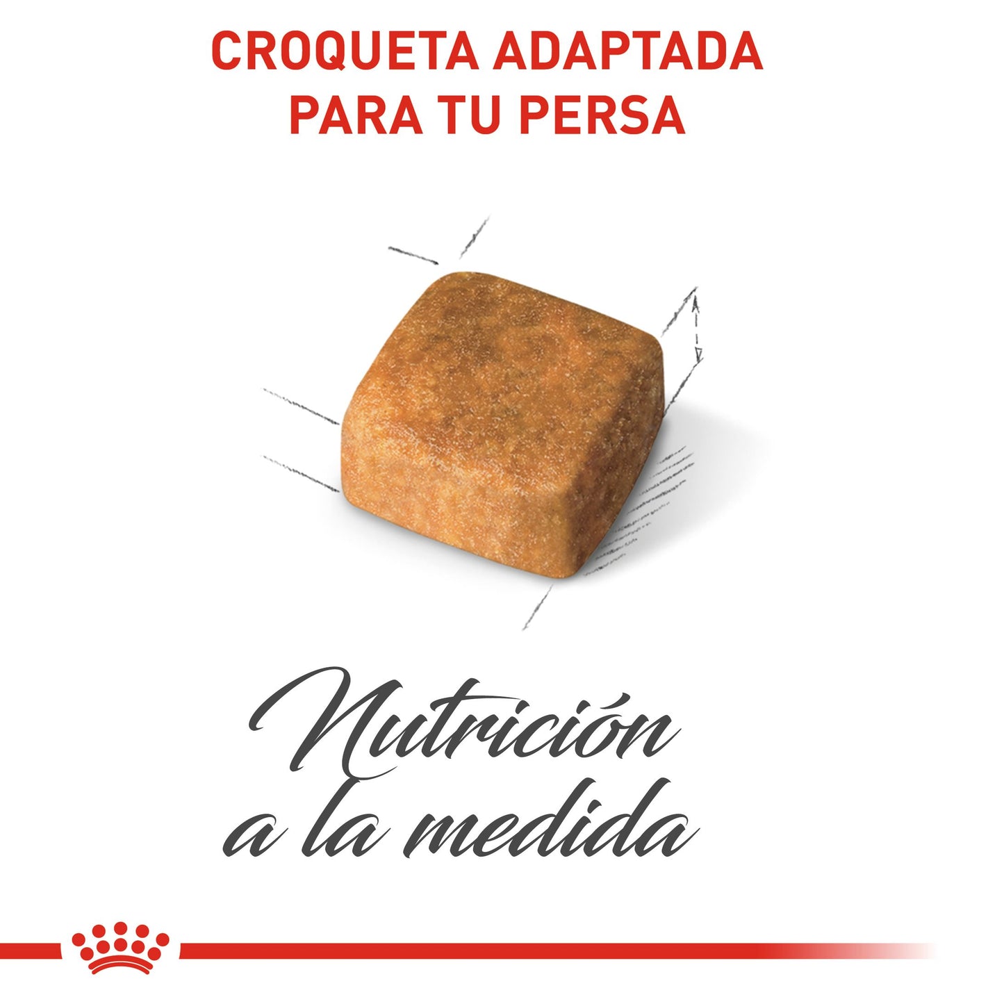 Bulto de Croquetas Gato Cachorro Royal Canin Persa 1.3kg | Alimento Seco Para Perros a domicilio CDMX | Disponible en Petzer.mx