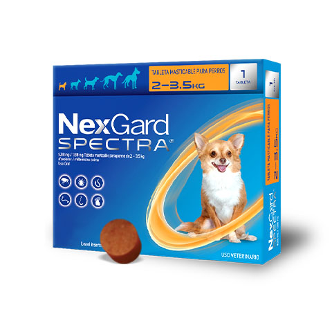 Nexgard Spectra Desparasitante Masticable Para Perro | Farmacia a domicilio CDMX | Petzer