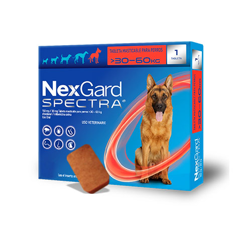 Nexgard Spectra Desparasitante Masticable Para Perro | Farmacia a domicilio CDMX | Petzer