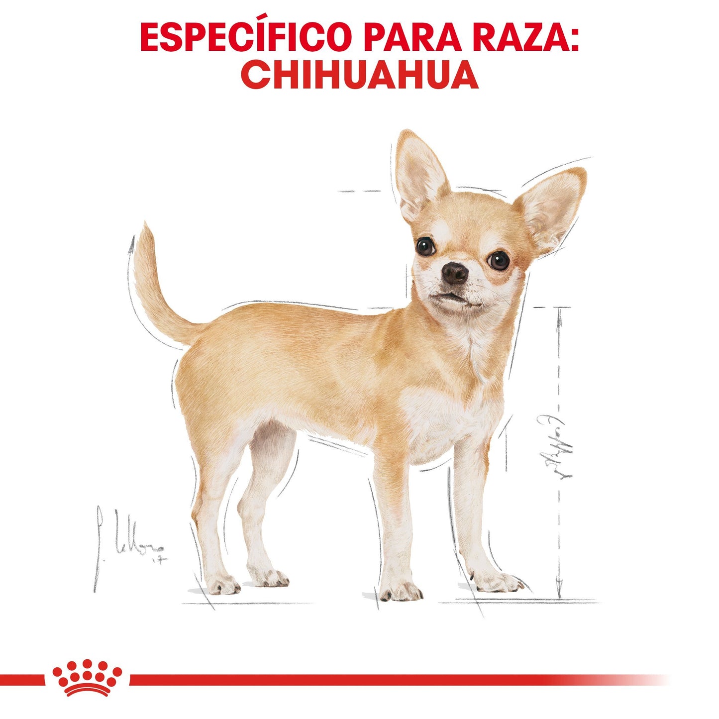 Bulto de Croquetas Perro Adulto Royal Canin Chihuahua 4.54kg | Alimento Seco Para Perros a domicilio CDMX | Disponible en Petzer.mx