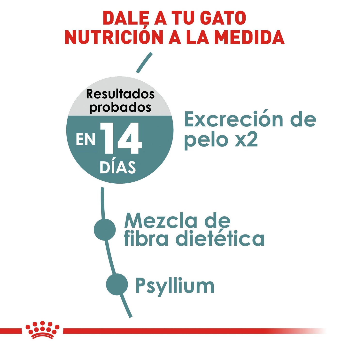 Bulto de Croquetas Gato Adulto Royal Canin Hairball 2.7kg | Alimento Seco Para Perros | Disponible en Petzer.mx