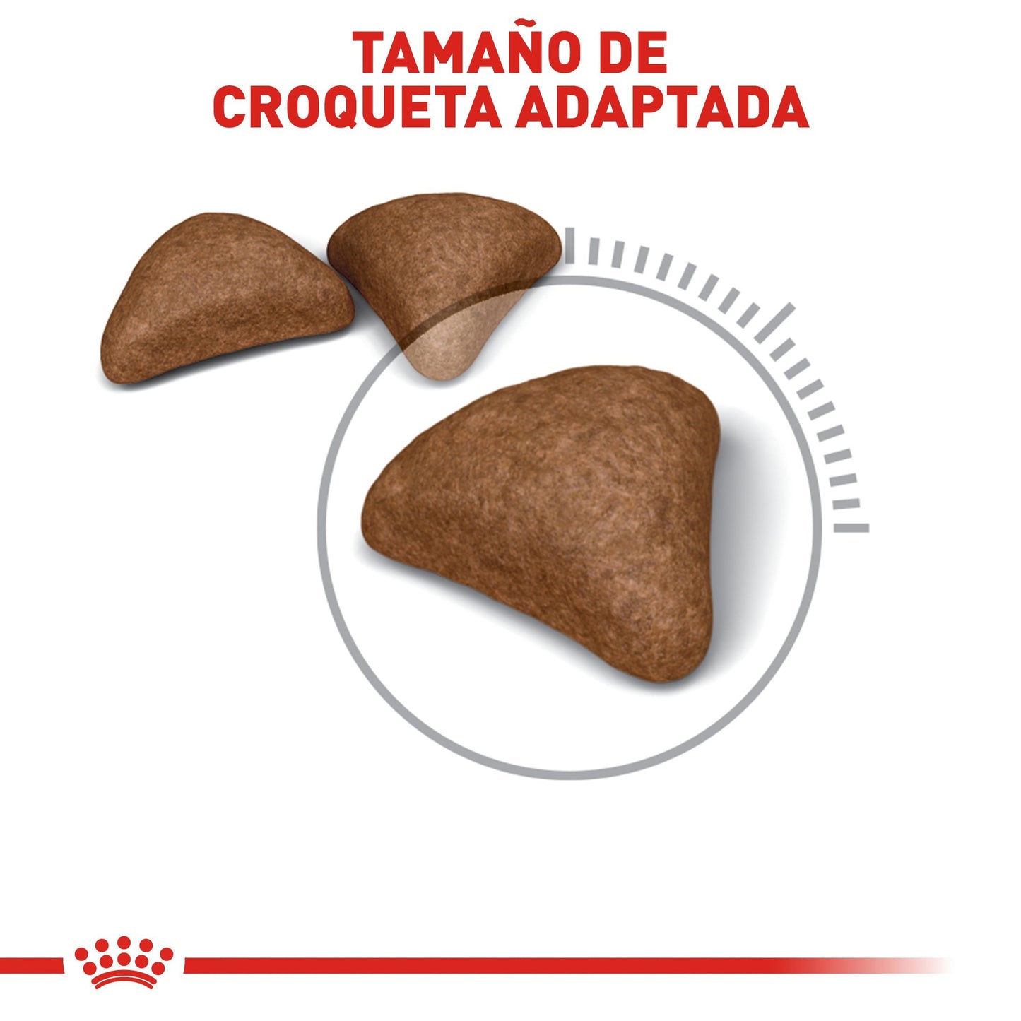 Bulto de Croquetas Gato Adulto Royal Canin Hairball 2.7kg | Alimento Seco Para Perros | Disponible en Petzer.mx
