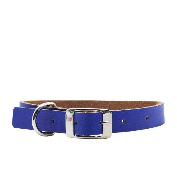 Collares para Perro o Gato Fun Colors Julia & Bruno Azul Cerúleo | Envío a domicilio CDMX | Disponible en Petzer