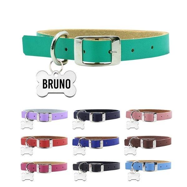 Collares para Perro o Gato Fun Colors Julia & Bruno| Envío a domicilio CDMX | Disponible en Petzer