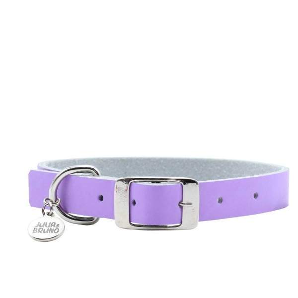Collares para Perro o Gato Fun Colors Julia & Bruno Lila | Envío a domicilio CDMX | Disponible en Petzer