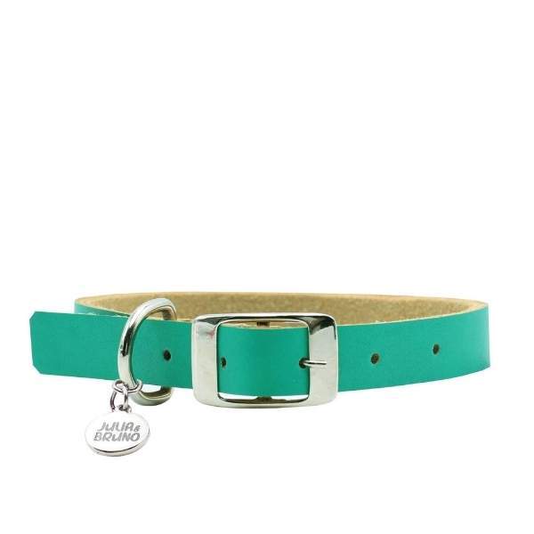 Collares para Perro o Gato Fun Colors Julia & Bruno Pistache | Envío a domicilio CDMX | Disponible en Petzer