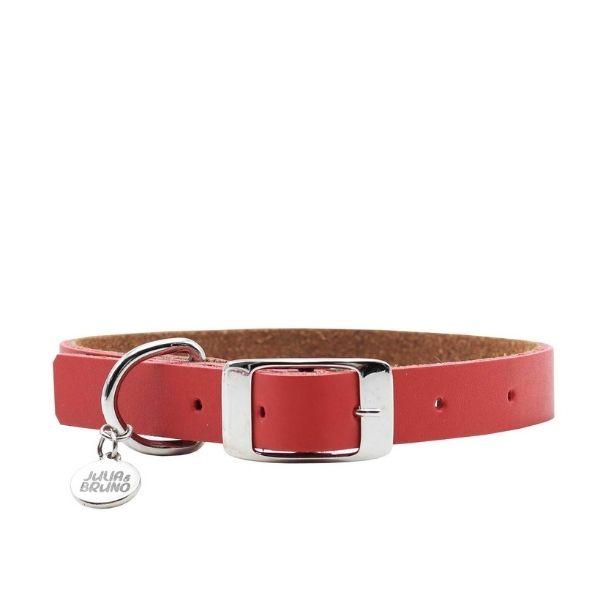Collares para Perro o Gato Fun Colors Julia & Bruno Rojo | Envío a domicilio CDMX | Disponible en Petzer