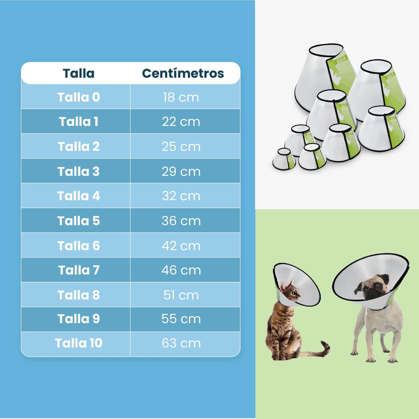Collar para Perro o Gato Isabelino Fancy Pets | Envío a domicilio CDMX | Disponible en Petzer