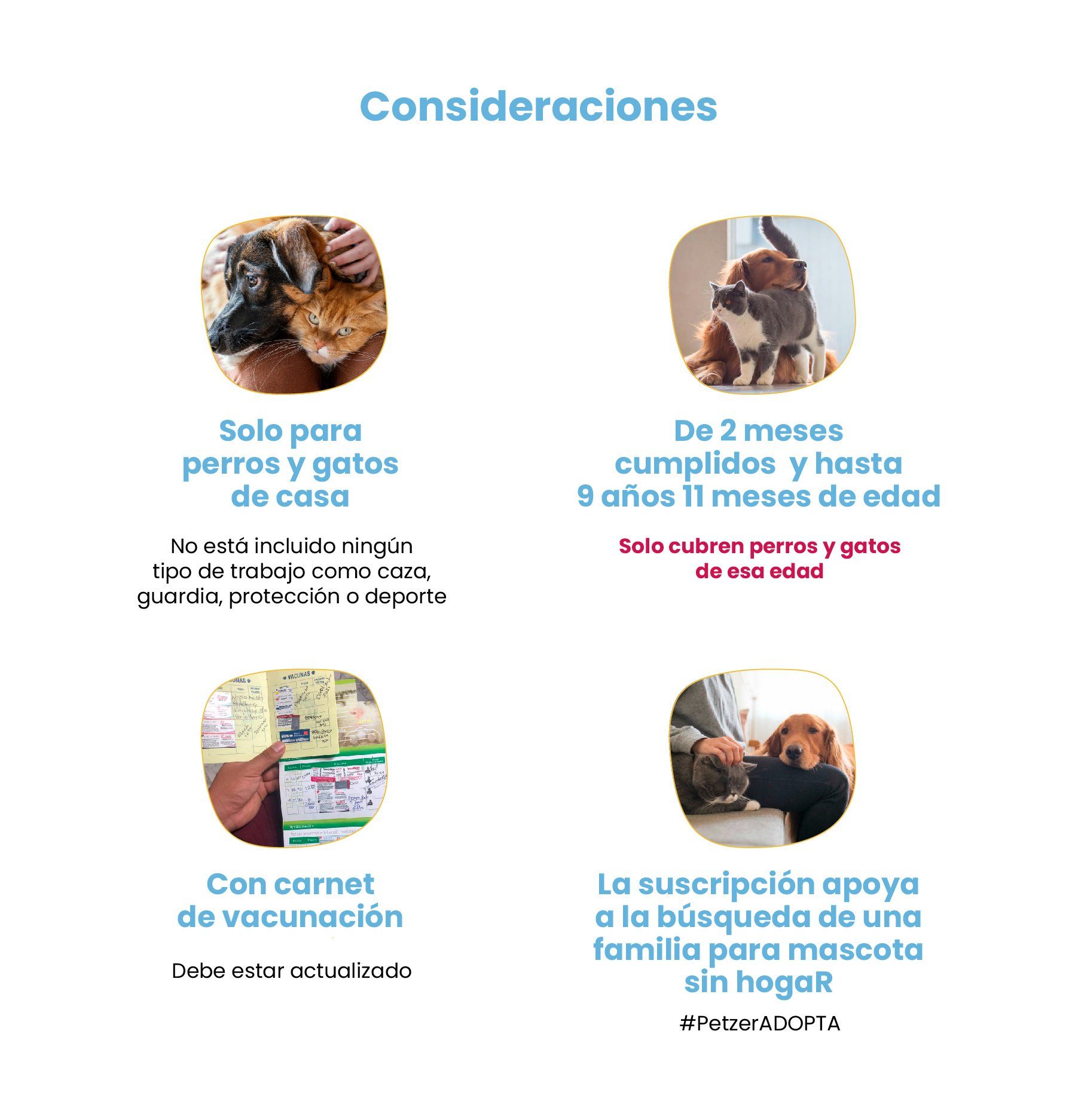 Seguro para Perro Petzer Anual SIM25 | Seguro para Mascotas | Petzer©