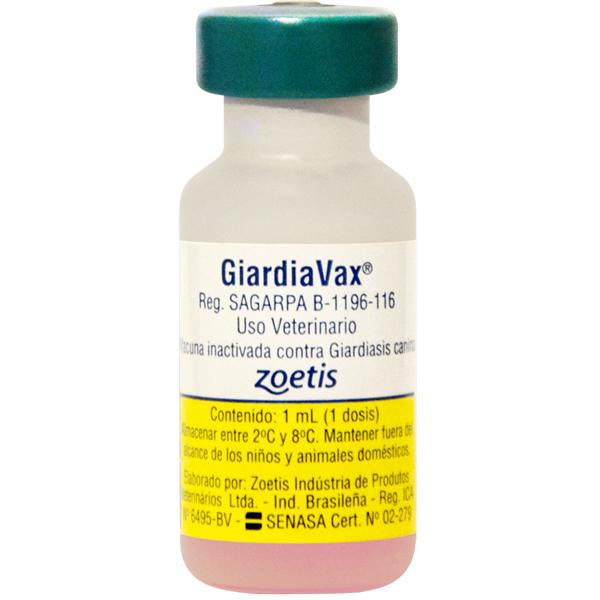 Vacunación Contra Giardiasis para Perro por MVZ Petzer a Domicilio Vacuna Petzer©