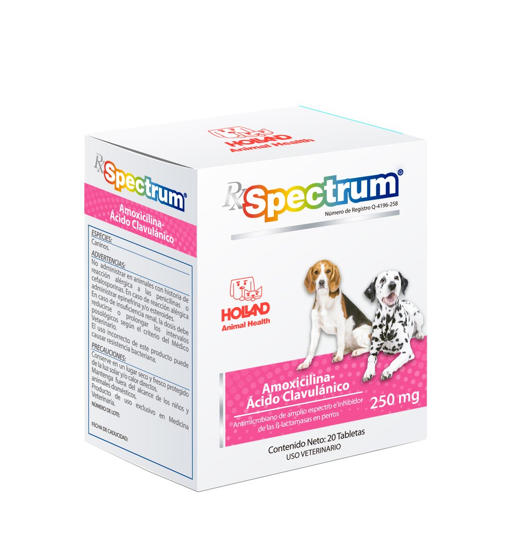 Antibiótico Rx Spectrum | Amoxicilina y Ácido Clavulánico