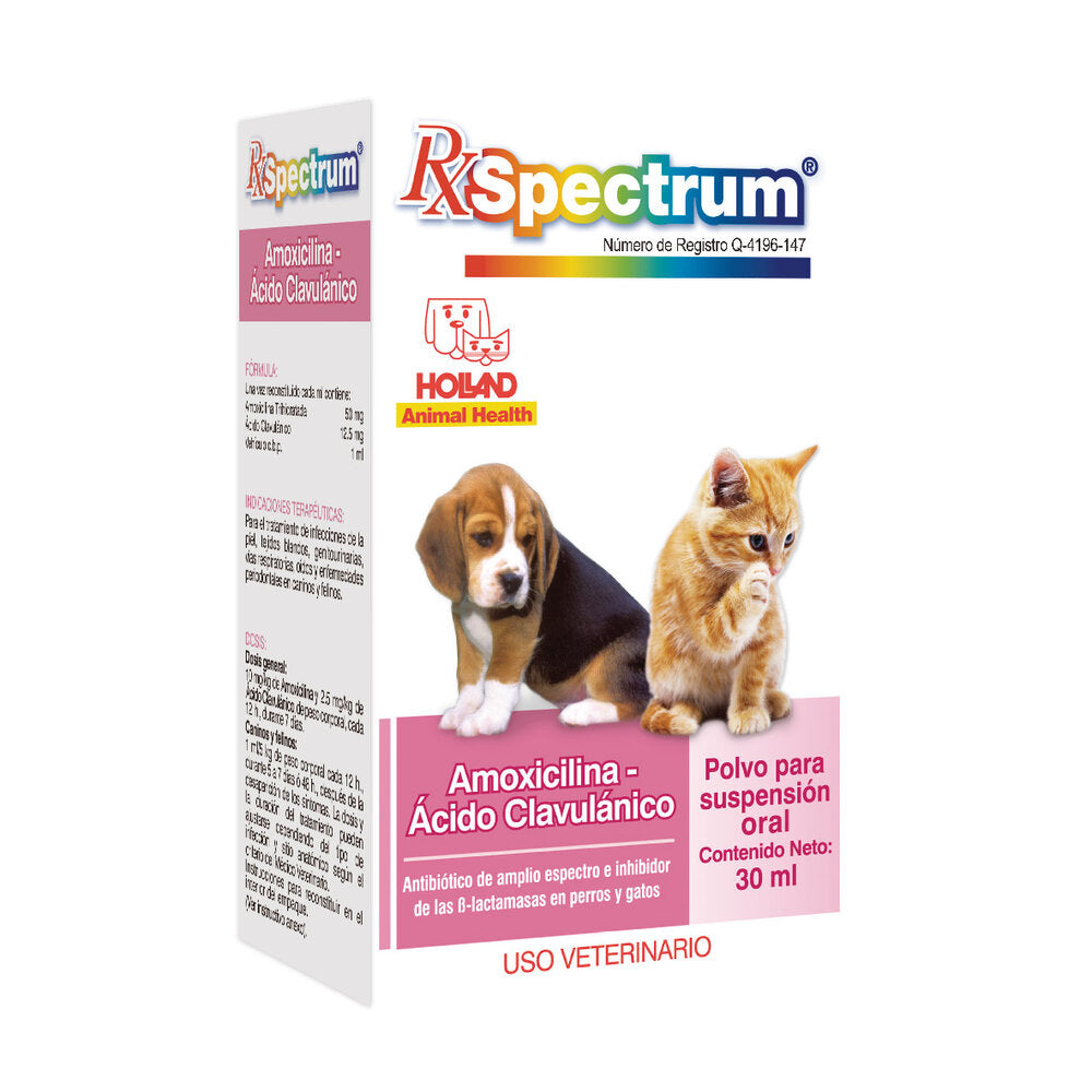 Antibiótico Rx Spectrum | Amoxicilina y Ácido Clavulánico