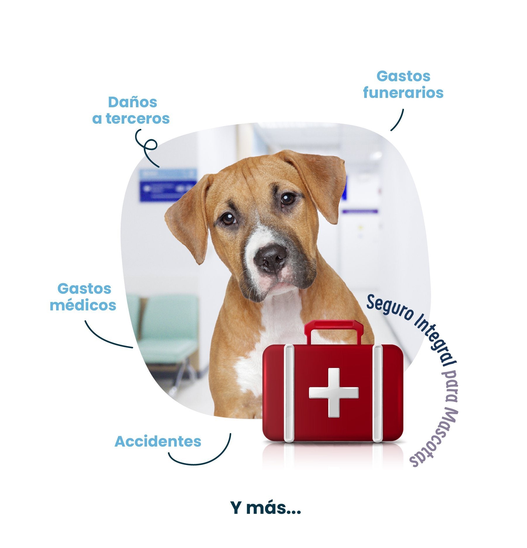 Seguro para Perro Petzer Anual SIM25 | Seguro para Mascotas | Petzer©