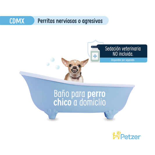 Baño a Domicilio para Perro Chico Nervioso o Agresivo  CDMX