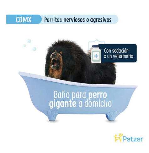 Baño a Domicilio para Perro Gigante Nervioso o Agresivo | CDMX