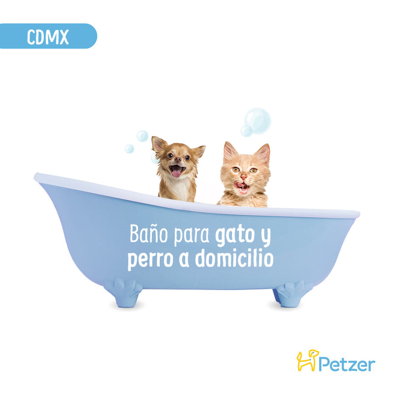Baño en Hotel en Casa | CDMX