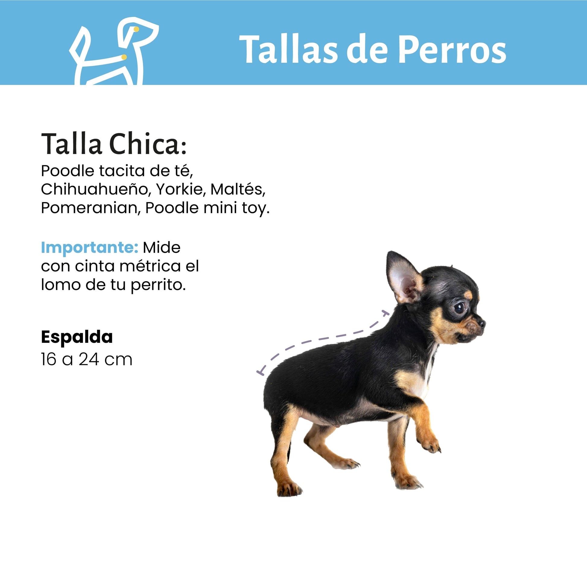 Baño y Corte de Pelo a Domicilio para Perros Chicos  CDMX