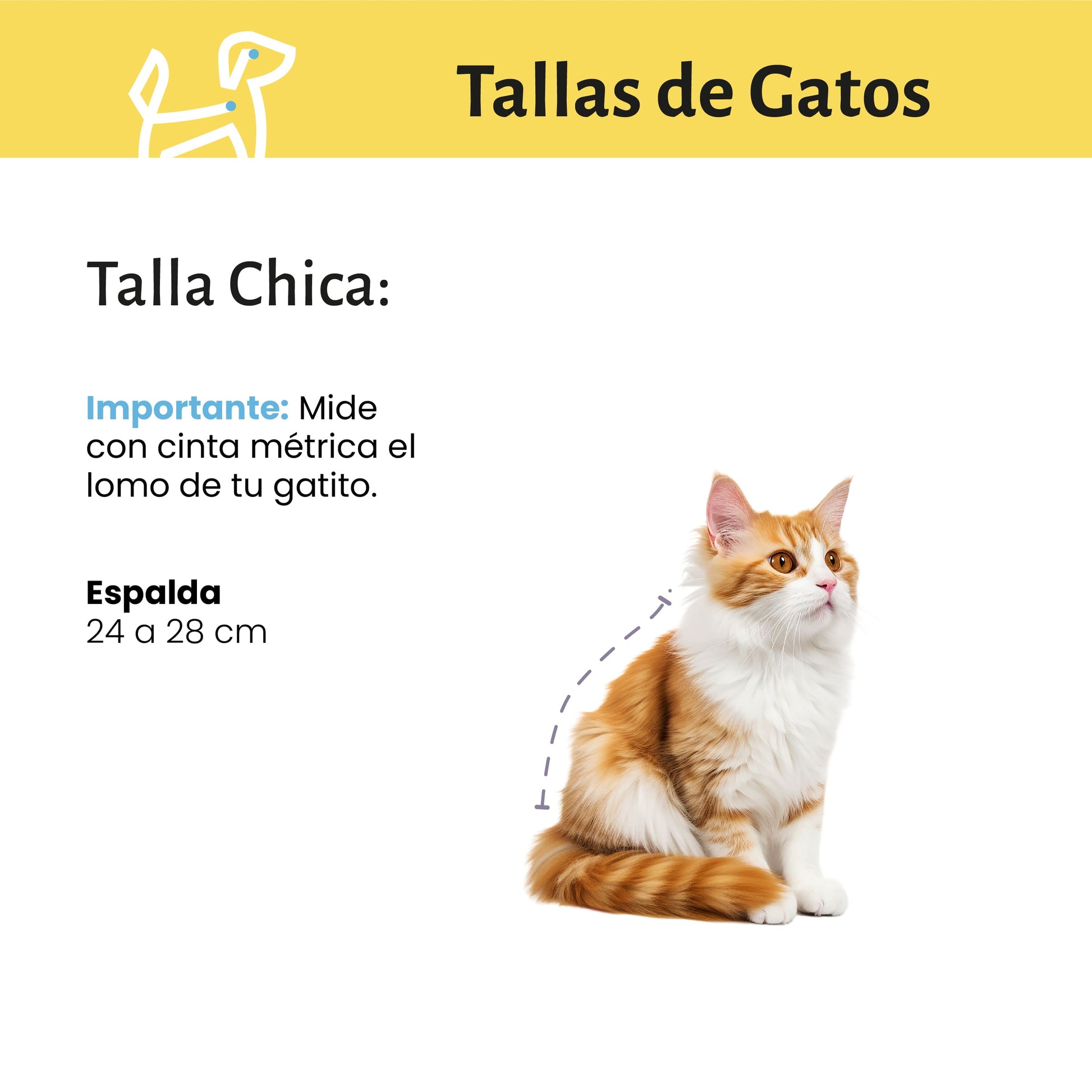 Baño y Deslanado a Domicilio para Gato Chico  CDMX