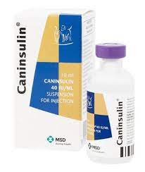 Suspensión Caninsulin | 10ml