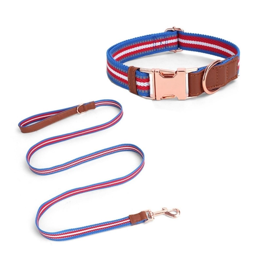 Collar para perro con correa a juego de textil