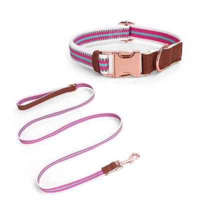 Collar para perro con correa a juego de textil