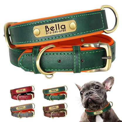 Collar para Perro o Gato Verde con Naranja