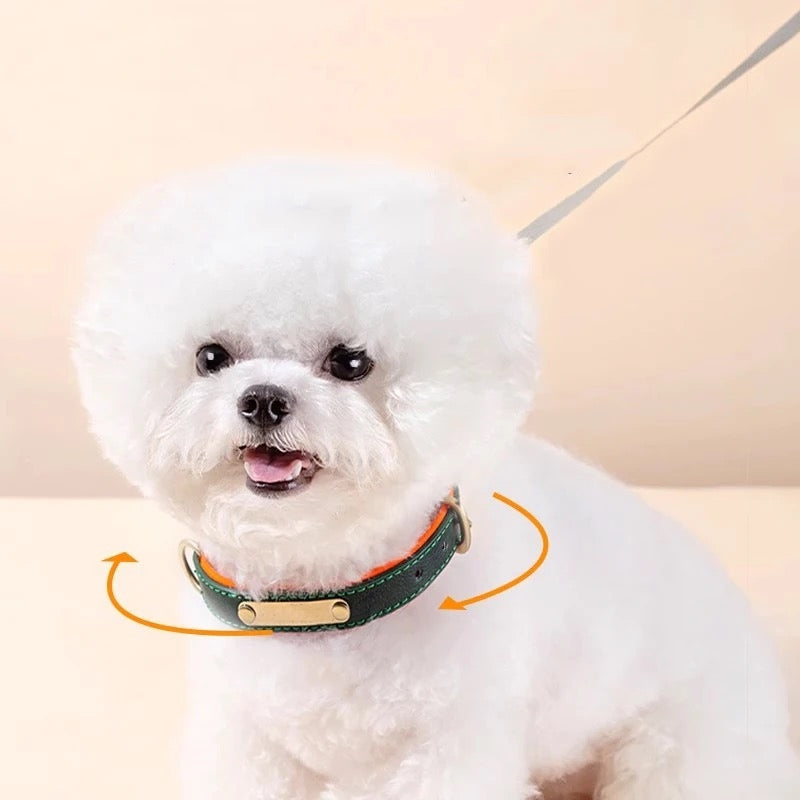 Collar Para Perros De Rastro - Talla S, Naranja Y Verde, Con Insertos De Aluminio Y Neopreno - Foto 5