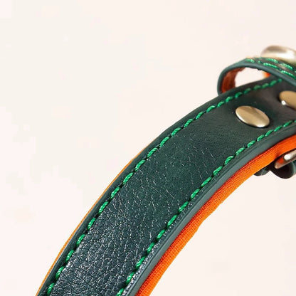 Collar para Perro o Gato Verde con Naranja